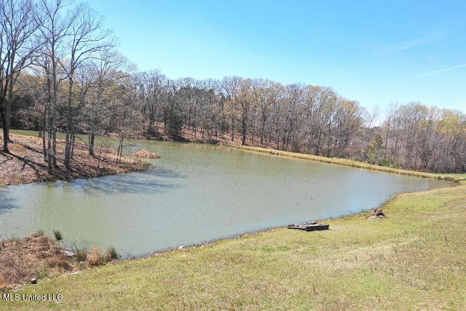 14491 Valley View Byhalia, MS 38611 - Photo 13 of 15 Photo Mar 26 2025, 09 36 56 (13) (1)