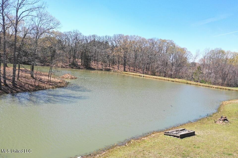 14491 Valley View Byhalia, MS 38611 - Photo 14 of 15 Photo Mar 26 2025, 09 36 56 (14)