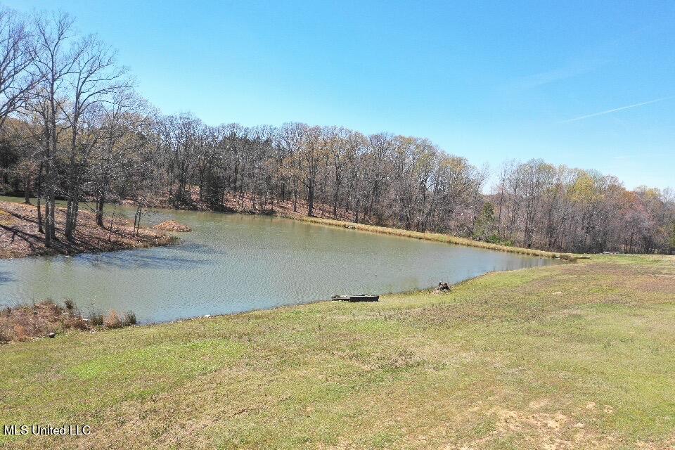 14491 Valley View Byhalia, MS 38611 - Photo 15 of 15 Photo Mar 26 2025, 09 36 56 (15)