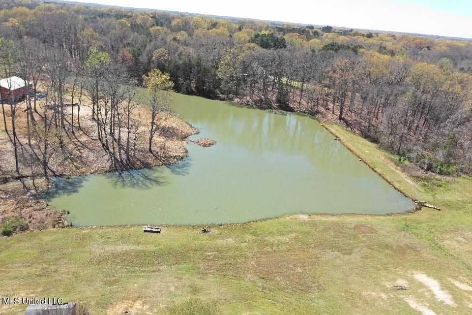 14491 Valley View Byhalia, MS 38611 - Photo 7 of 15 Photo Mar 26 2025, 09 36 56 (7)