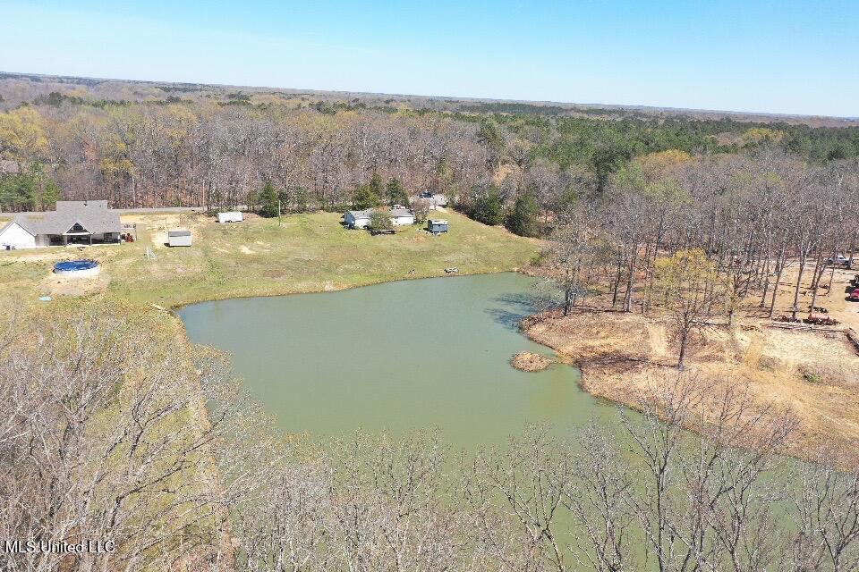 14491 Valley View Byhalia, MS 38611 - Photo 8 of 15 Photo Mar 26 2025, 09 36 56 (9)