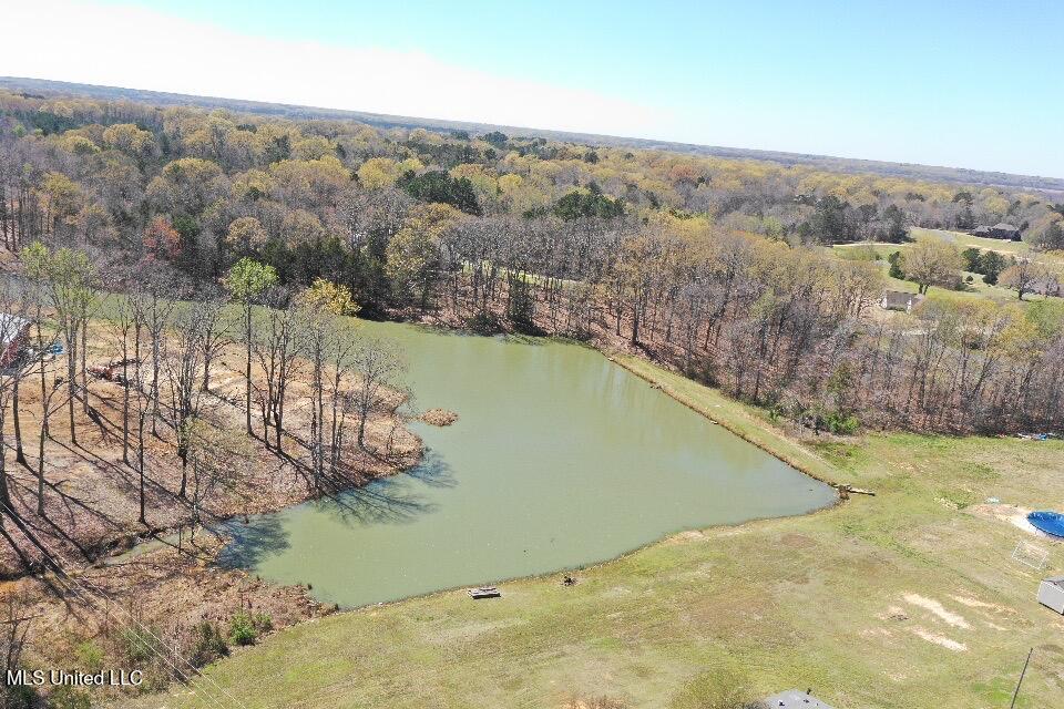 14491 Valley View Byhalia, MS 38611 - Photo 10 of 15 Photo Mar 26 2025, 09 36 56 (10)