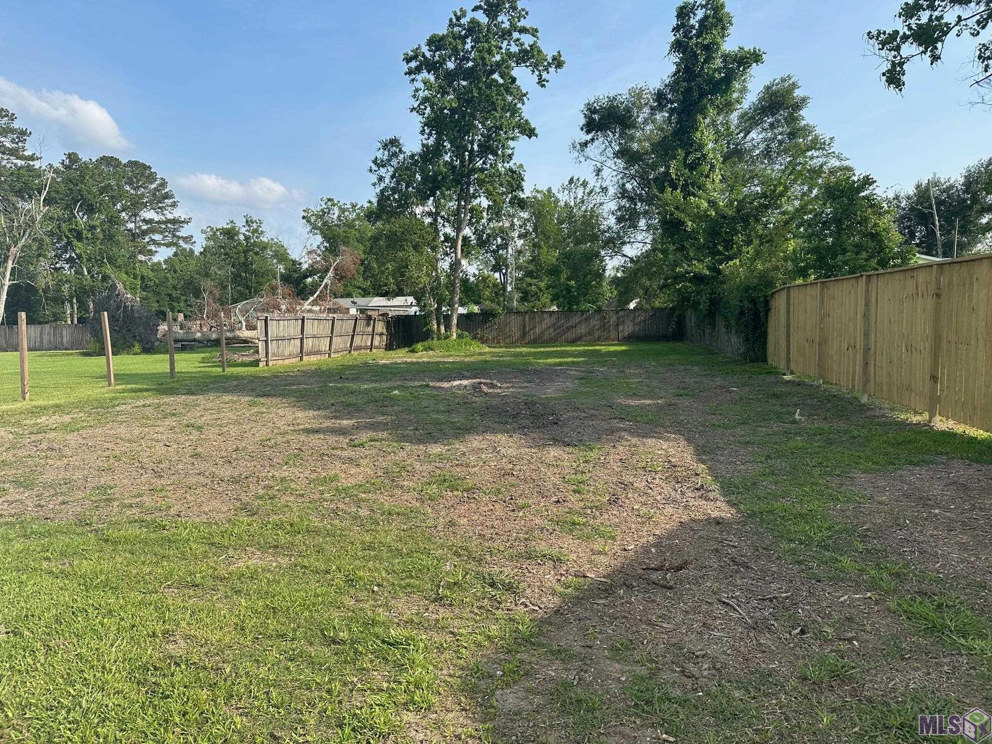 44091 Maurice Bourgeois Road St. Amant, LA 70774 - Photo 19 of 19