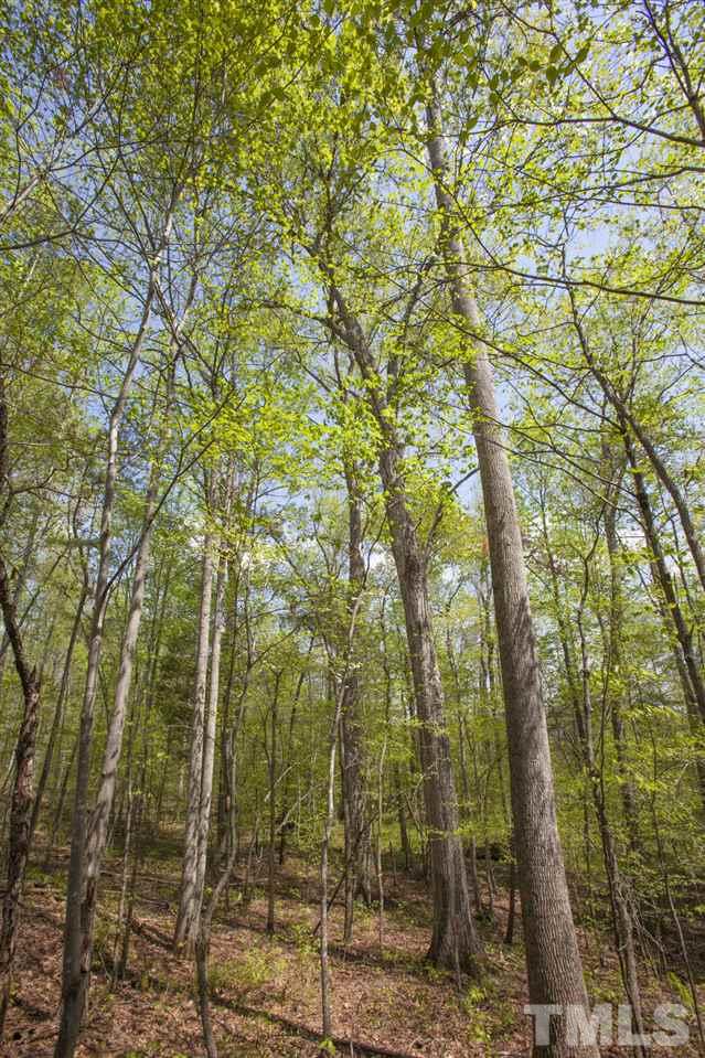 0 Ben Thorp Road Oxford, NC 27565 - Photo 7 of 20 Gallery Image 7