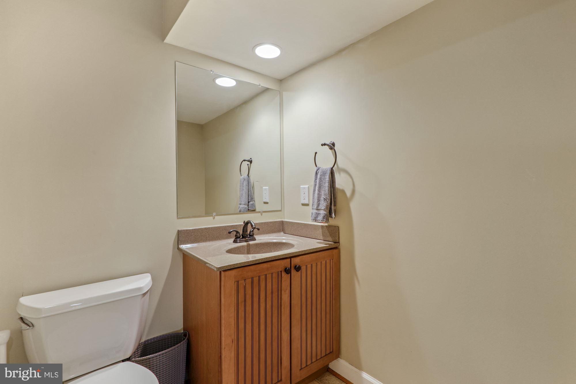 7655 Swallow Road Sykesville, MD 21784 - Photo 43 of 49 Basement FULL Bath - shower to left.