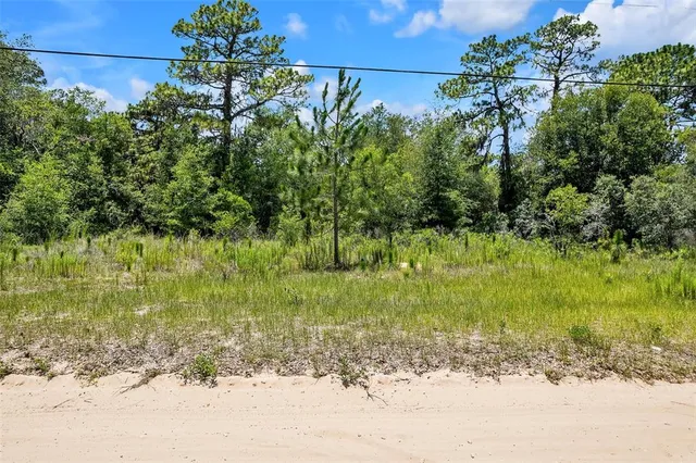 $100,000 | 620 South Fairlane Terrace, Lecanto, FL 34461