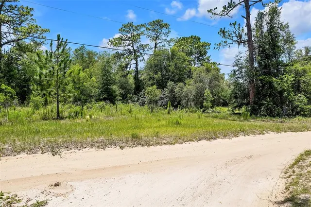 $100,000 | 620 South Fairlane Terrace, Lecanto, FL 34461