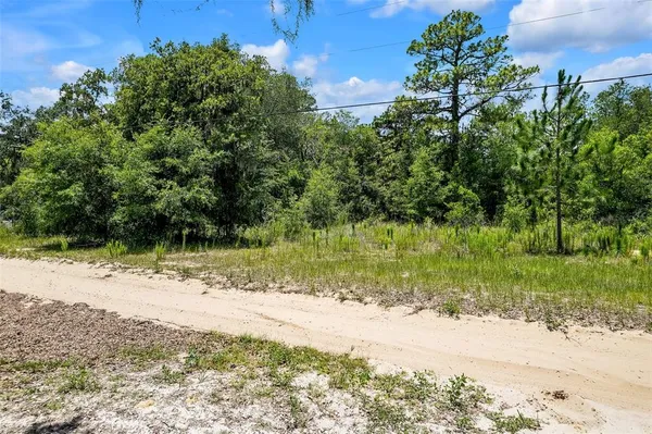 $100,000 | 620 South Fairlane Terrace, Lecanto, FL 34461
