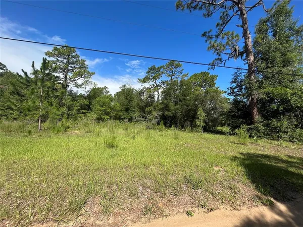 $100,000 | 620 South Fairlane Terrace, Lecanto, FL 34461