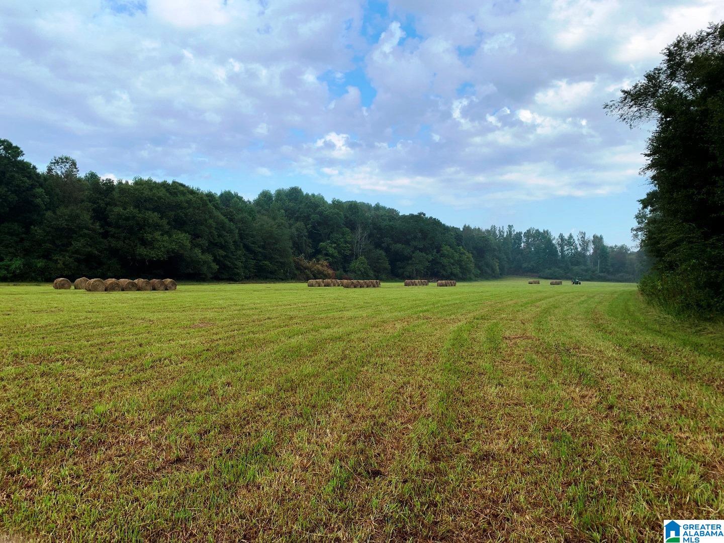 78 St E Acres Al, Unit 101 Anniston, AL 36207 - Photo 10 of 17