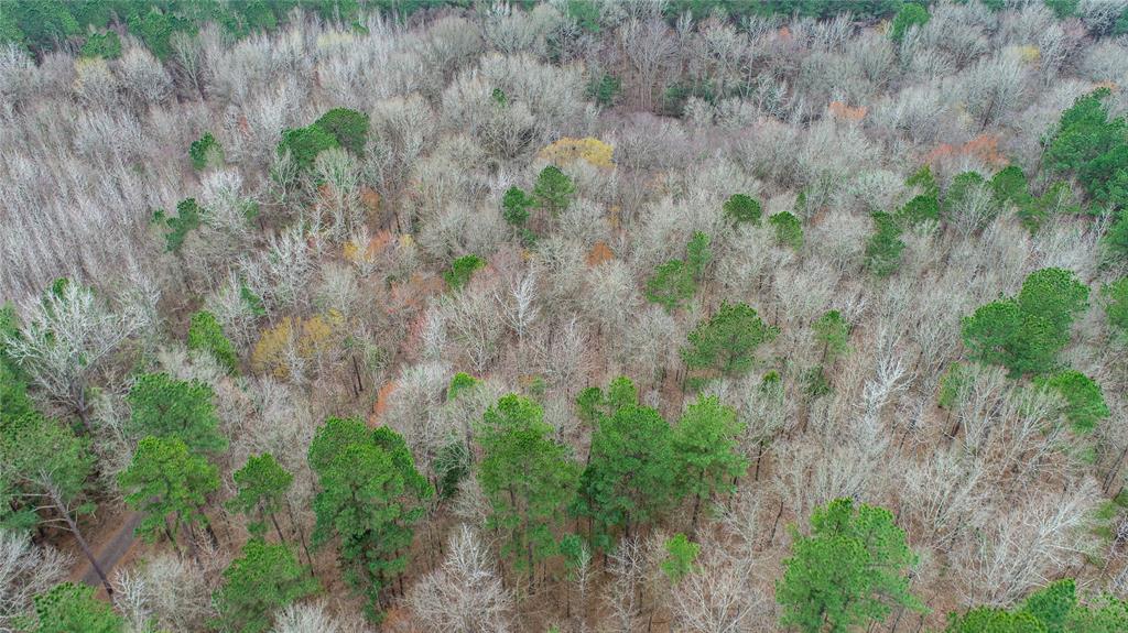 Tbd Tbd Central Road Pittsburg, TX 75686 - Photo 12 of 26