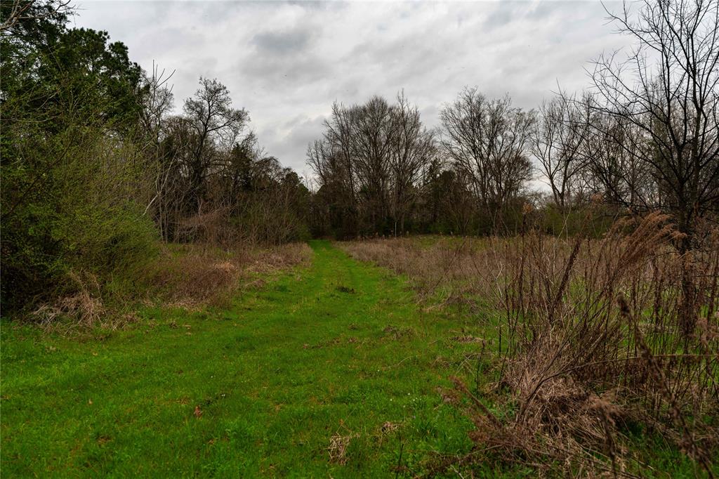 Tbd Tbd Central Road Pittsburg, TX 75686 - Photo 14 of 26