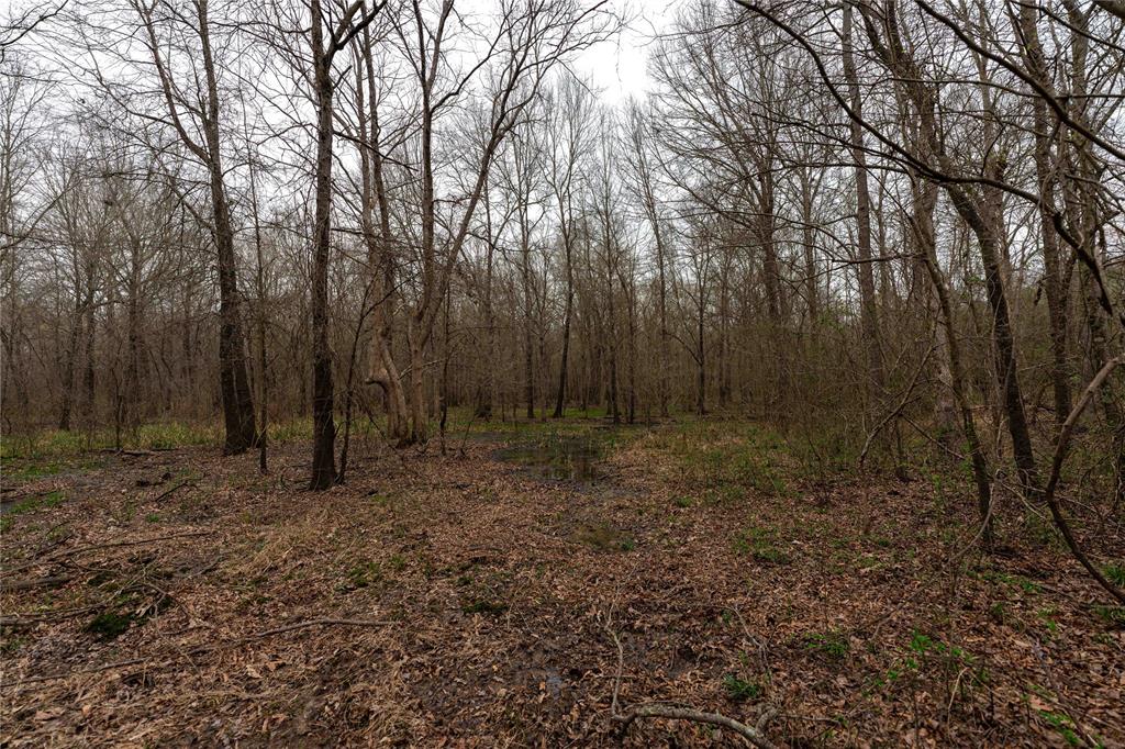 Tbd Tbd Central Road Pittsburg, TX 75686 - Photo 15 of 26