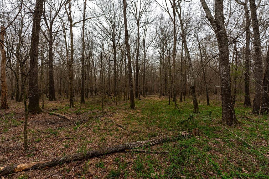 Tbd Tbd Central Road Pittsburg, TX 75686 - Photo 16 of 26