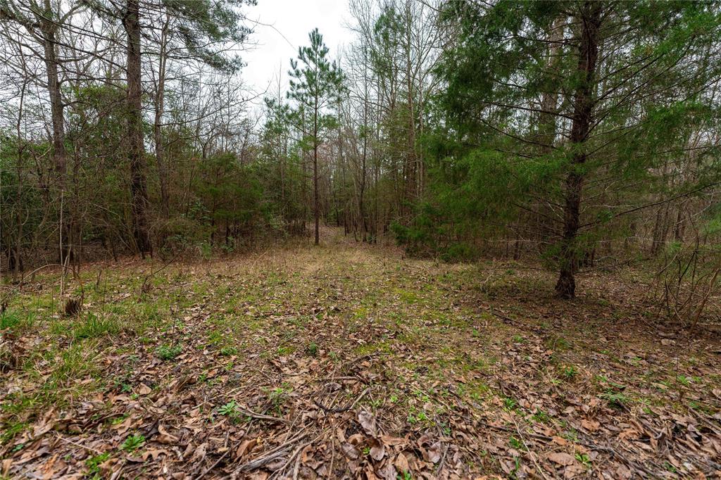 Tbd Tbd Central Road Pittsburg, TX 75686 - Photo 17 of 26