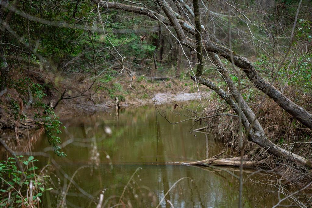 Tbd Tbd Central Road Pittsburg, TX 75686 - Photo 18 of 26