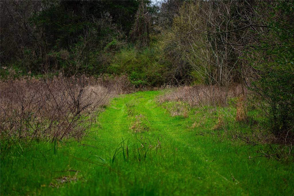Tbd Tbd Central Road Pittsburg, TX 75686 - Photo 20 of 26