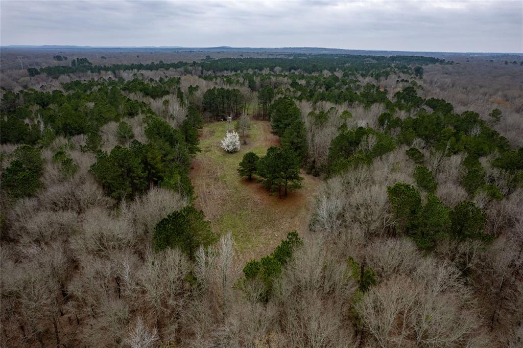 Tbd Tbd Central Road Pittsburg, TX 75686 - Photo 21 of 26