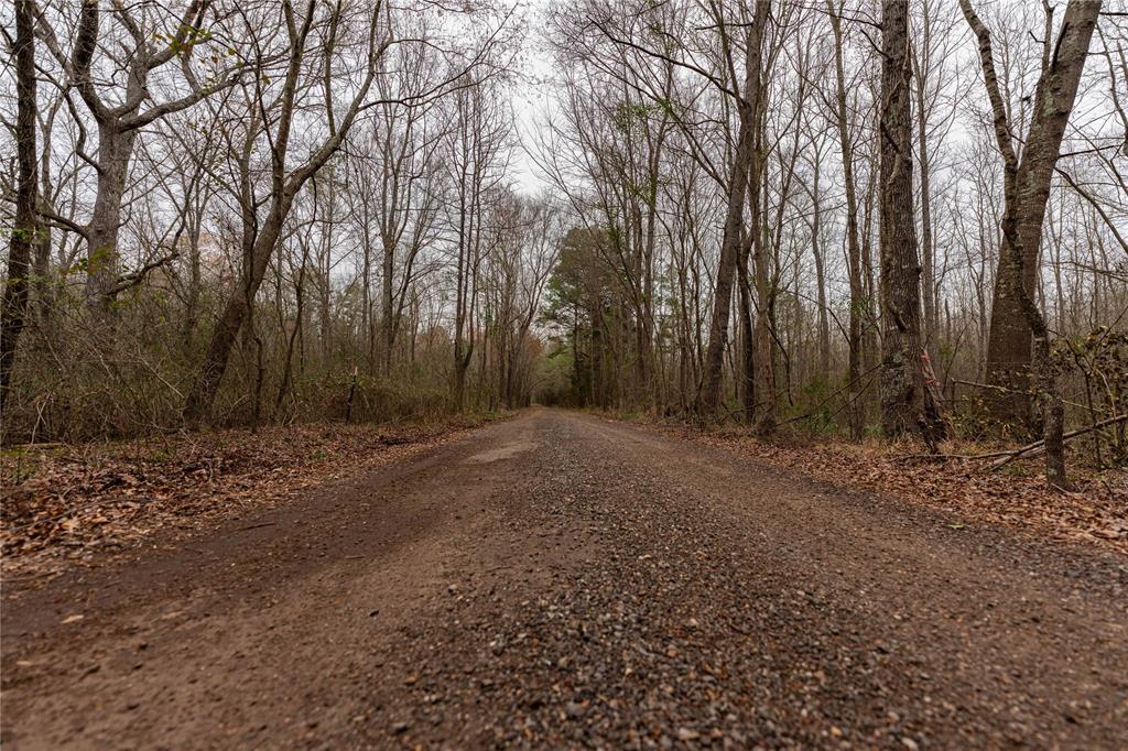 Tbd Tbd Central Road Pittsburg, TX 75686 - Photo 22 of 26