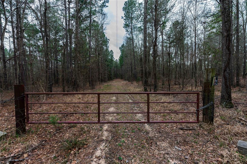 Tbd Tbd Central Road Pittsburg, TX 75686 - Photo 26 of 26