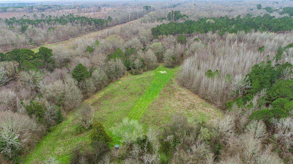 Tbd Tbd Central Road Pittsburg, TX 75686 - Photo 7 of 26