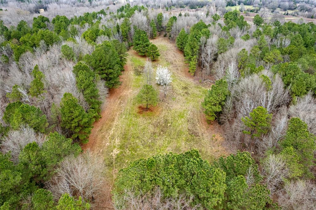 Tbd Tbd Central Road Pittsburg, TX 75686 - Photo 8 of 26