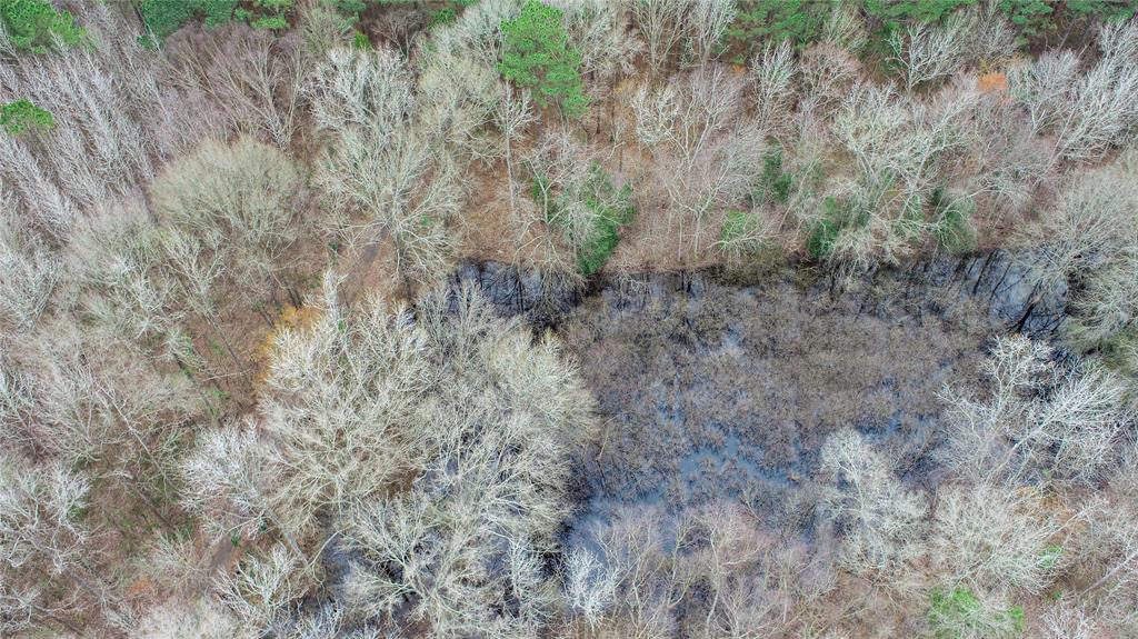 Tbd Tbd Central Road Pittsburg, TX 75686 - Photo 9 of 26