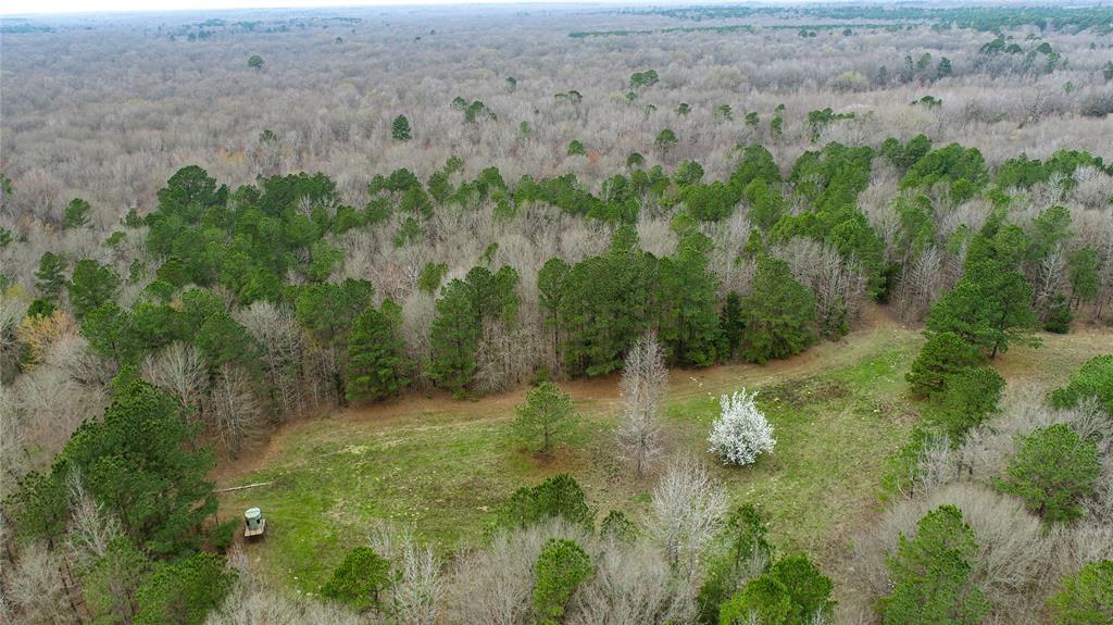 Tbd Tbd Central Road Pittsburg, TX 75686 - Photo 10 of 26