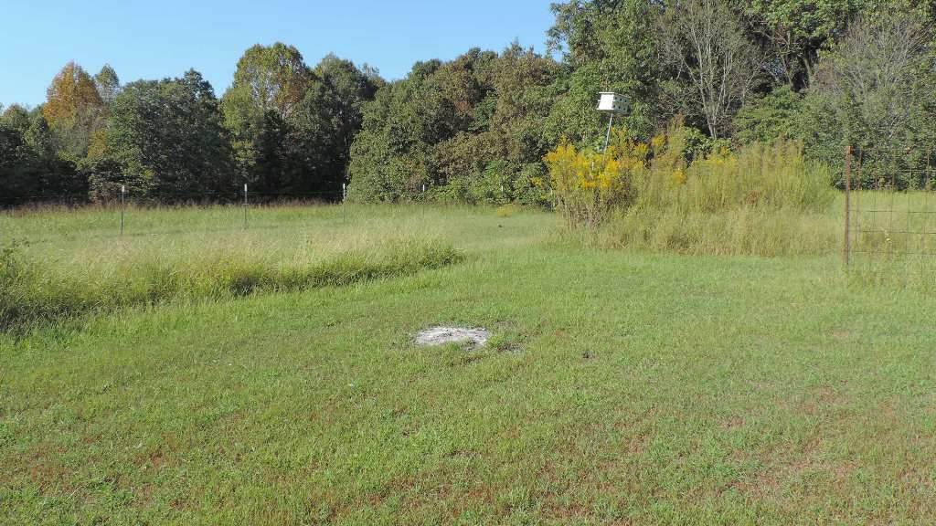 1471 Sanders Road Morgantown, KY 42261 - Photo 30 of 35 Gallery Image 30
