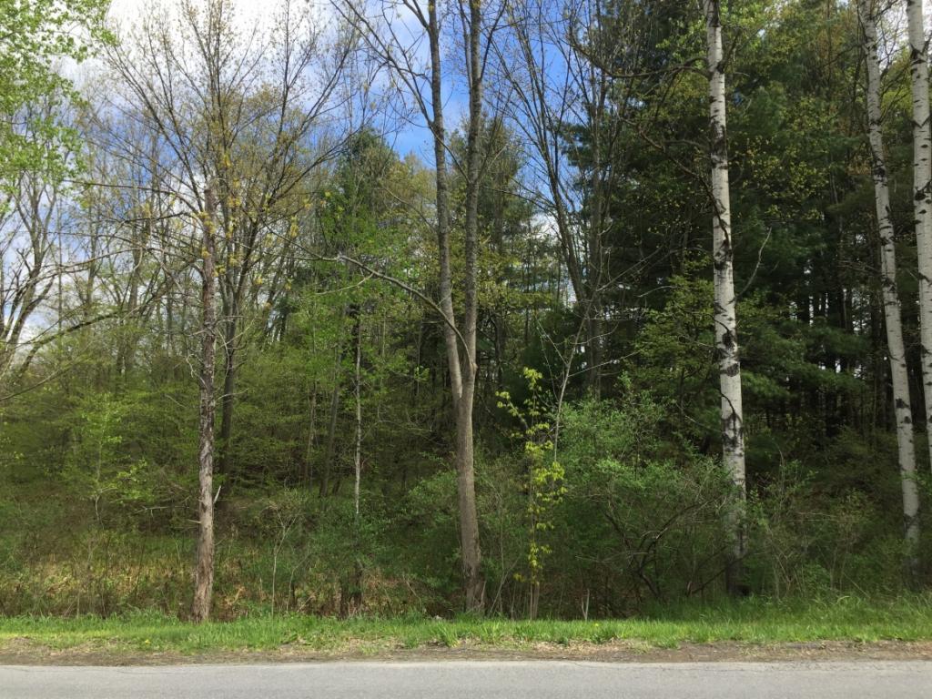 4144 Murphy Road Binghamton, NY 13903 - Photo 1 of 6 Gallery Image 1