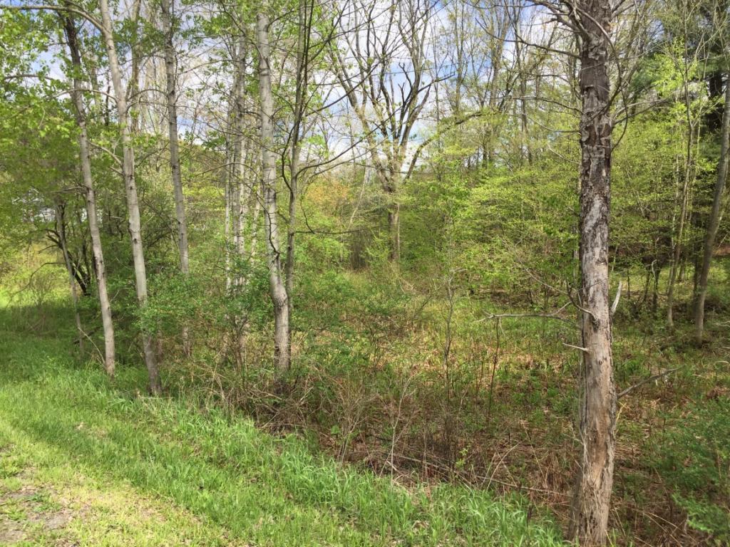4144 Murphy Road Binghamton, NY 13903 - Photo 2 of 6 Gallery Image 2