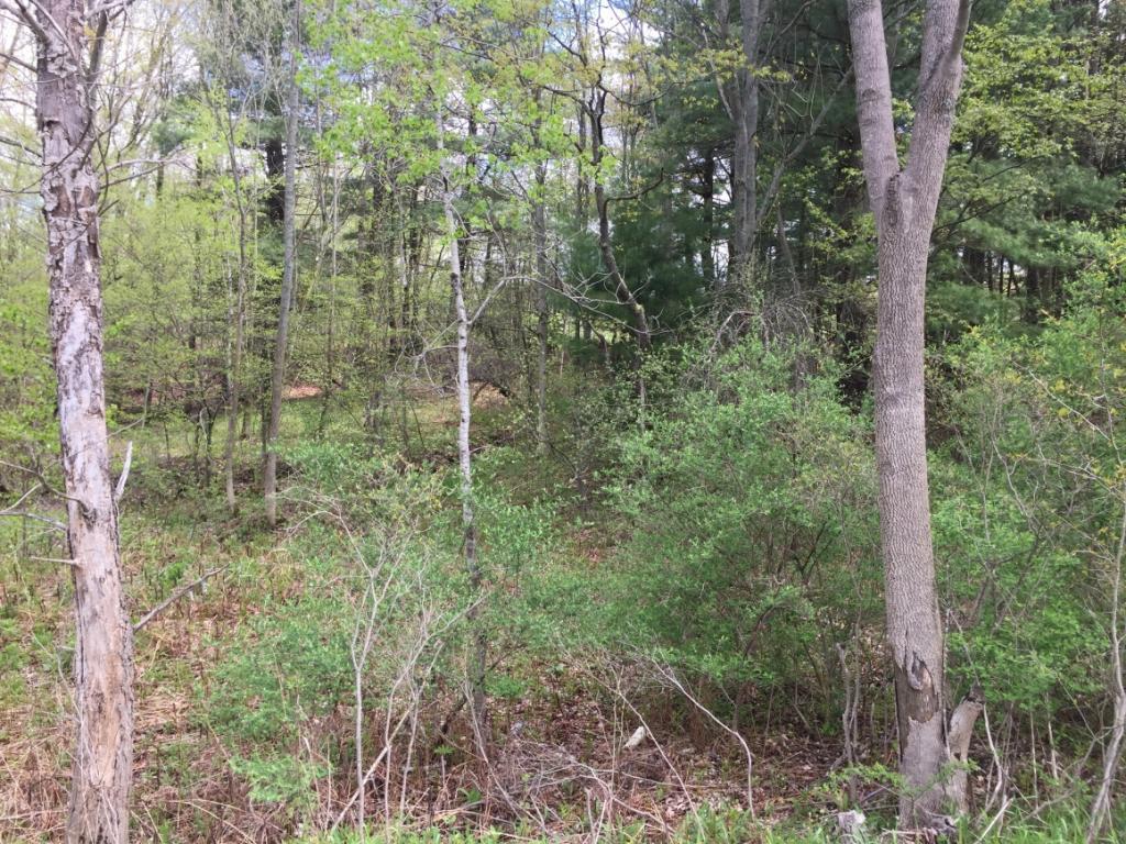 4144 Murphy Road Binghamton, NY 13903 - Photo 3 of 6 Gallery Image 3