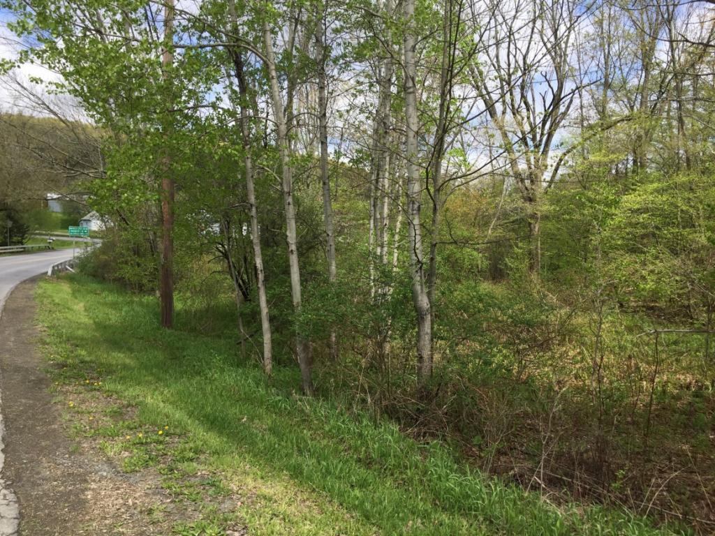 4144 Murphy Road Binghamton, NY 13903 - Photo 6 of 6 Gallery Image 6