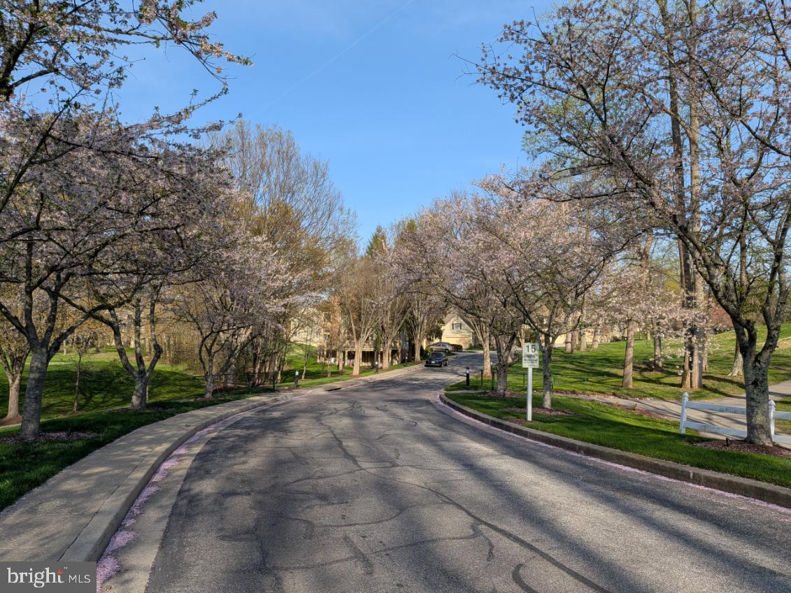 5153 Harpers Farm Road, Unit 23 Columbia, MD 21044 - Photo 55 of 58 Spring blossoms @ Hobbits Glen