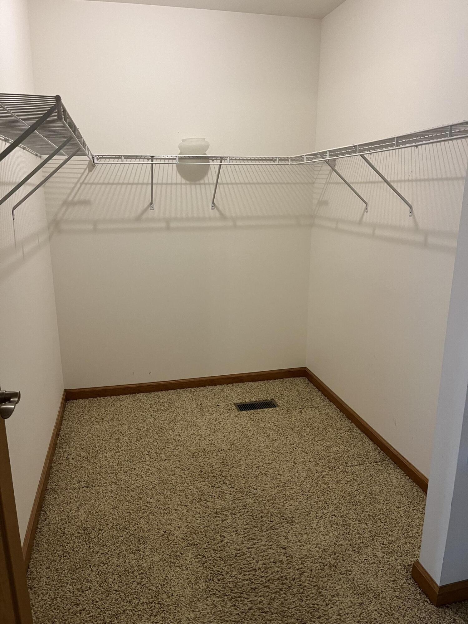 319 Clark Street Decatur, MI 49045 - Photo 20 of 45 spacious closet