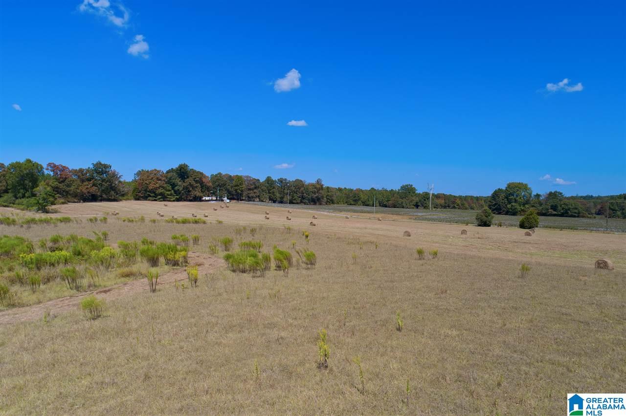 Jackson Farm Road, Unit B Wilsonville, AL 35186 - Photo 1 of 12