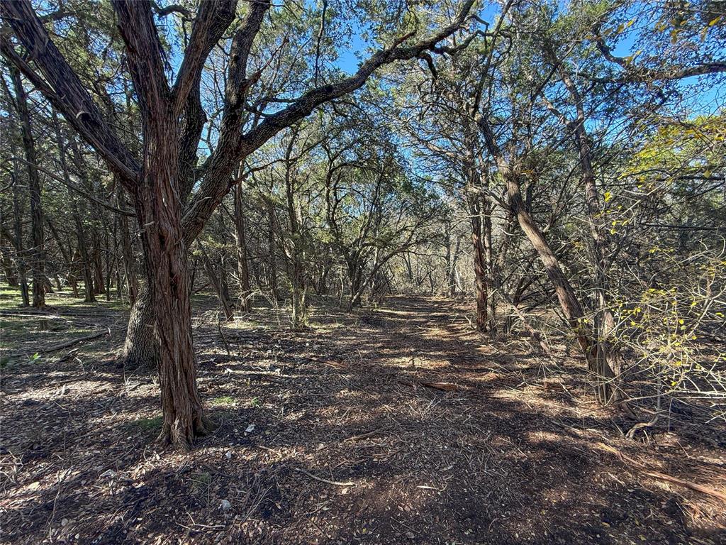 3748 High Prairie Road Valley Mills, TX 76689 - Photo 14 of 21 a view of outdoor space with trees