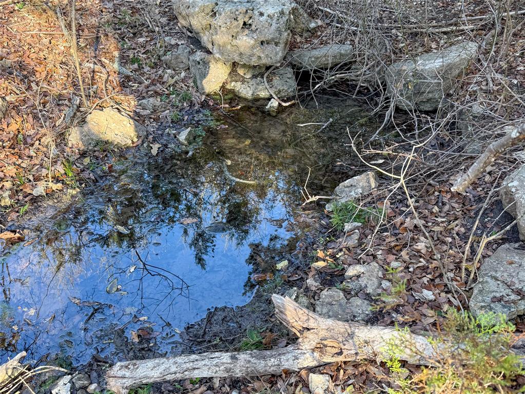 3748 High Prairie Road Valley Mills, TX 76689 - Photo 5 of 21 a view of a tree in a yard
