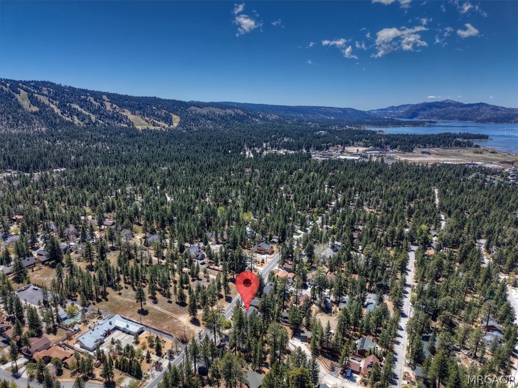 42698 Fox Farm Road Big Bear Lake, CA 92315 - Photo 5 of 46