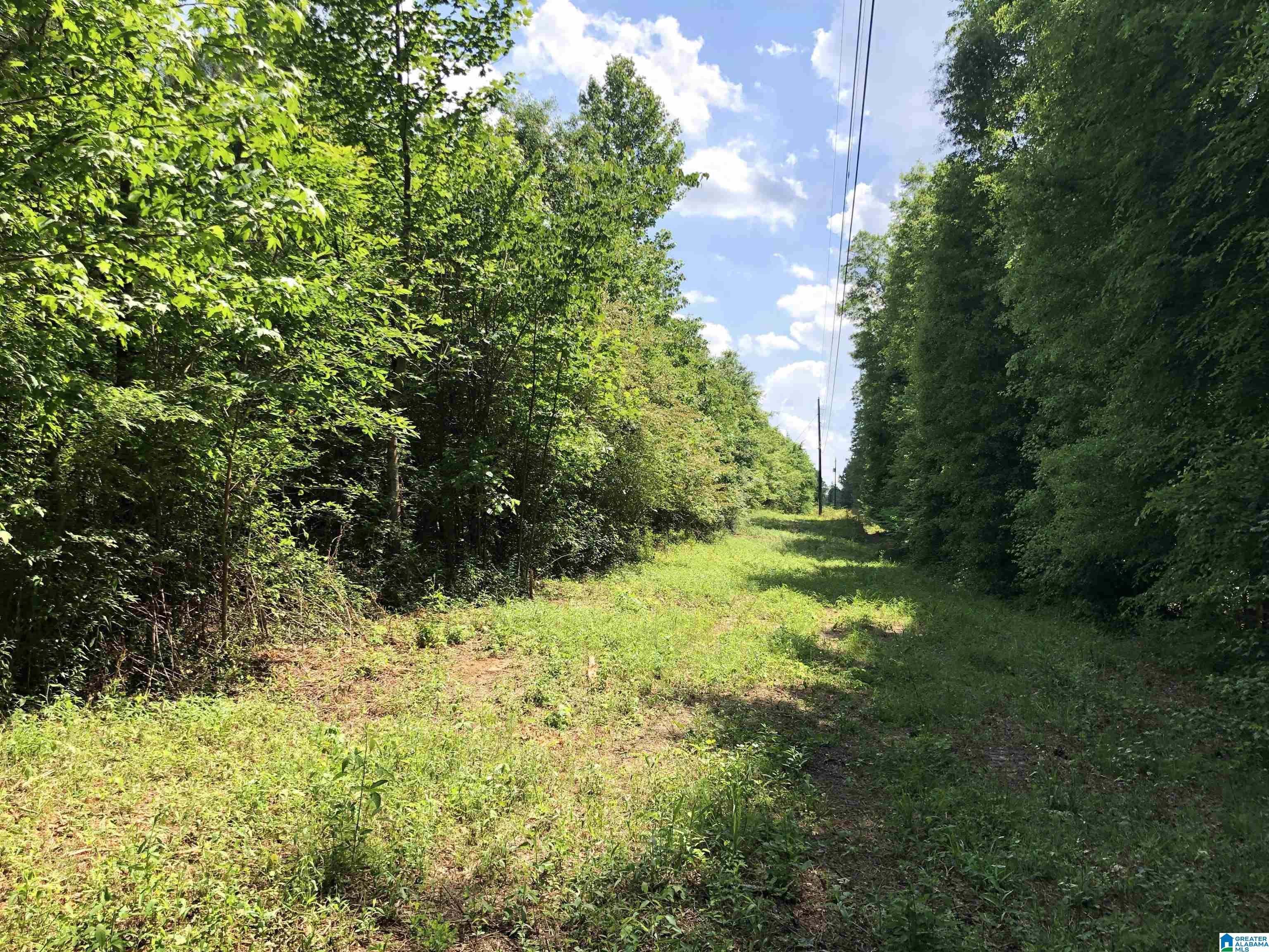 0 Peeks Hill Road, Unit 4 Ohatchee, AL 36271 - Photo 8 of 9