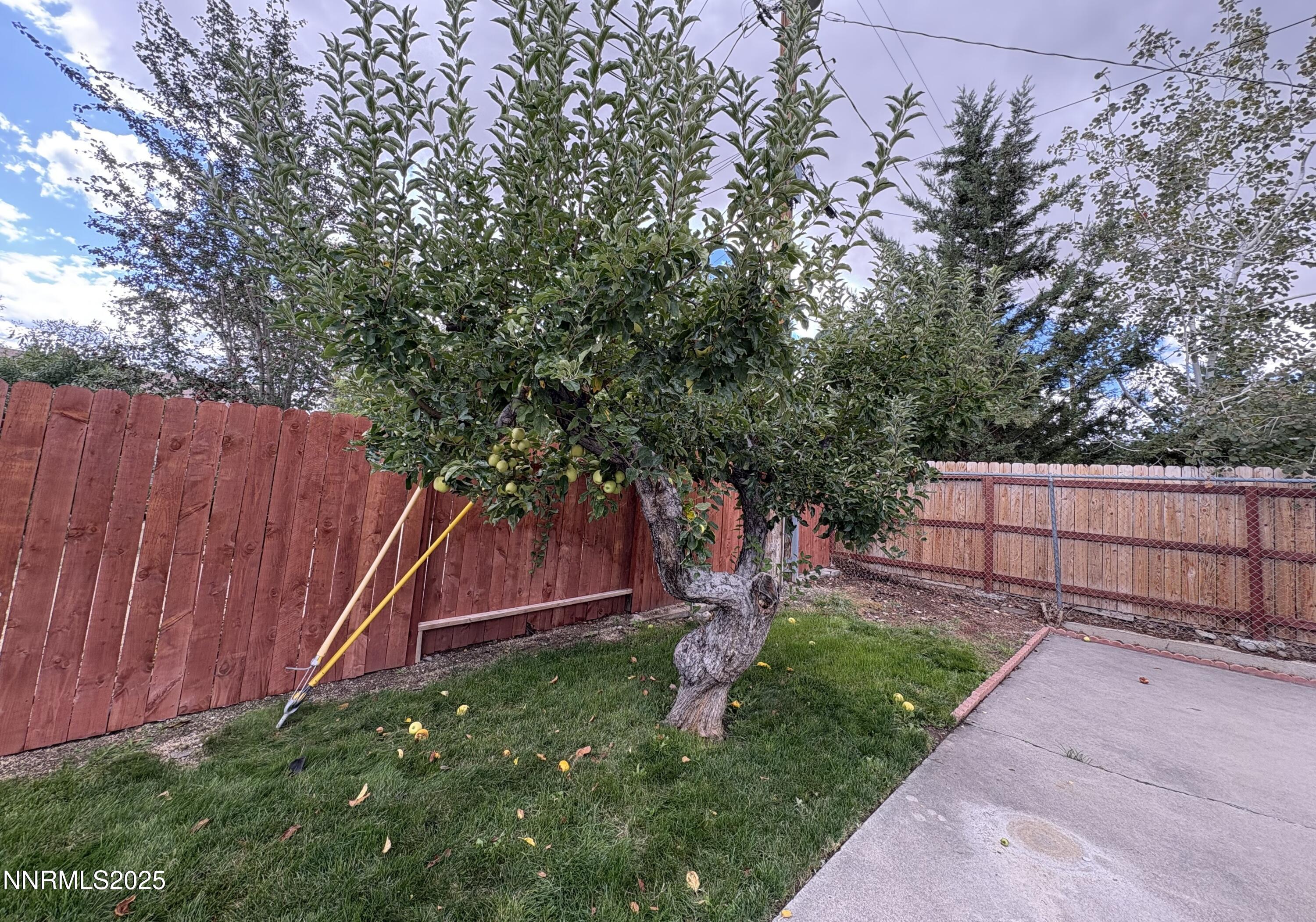230 Glenmanor Drive Reno, NV 89509 - Photo 23 of 28 a backyard of a house with lots of green space