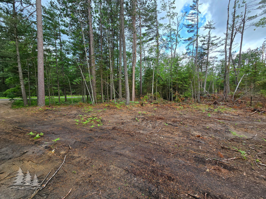 4038 Williams Road Lewiston, MI 49756 - Photo 7 of 14 4038 Williams Rd