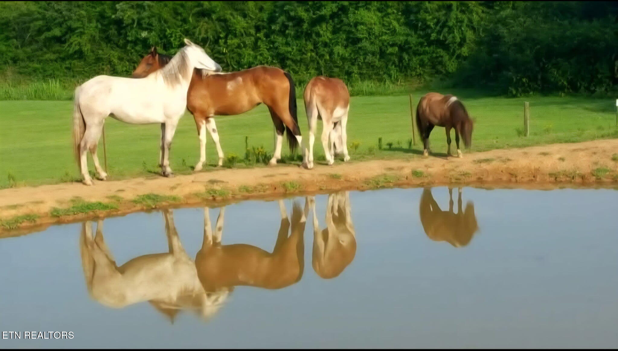 840 Jordan Road Decatur, TN 37322 - Photo 36 of 37 3619666044299698170