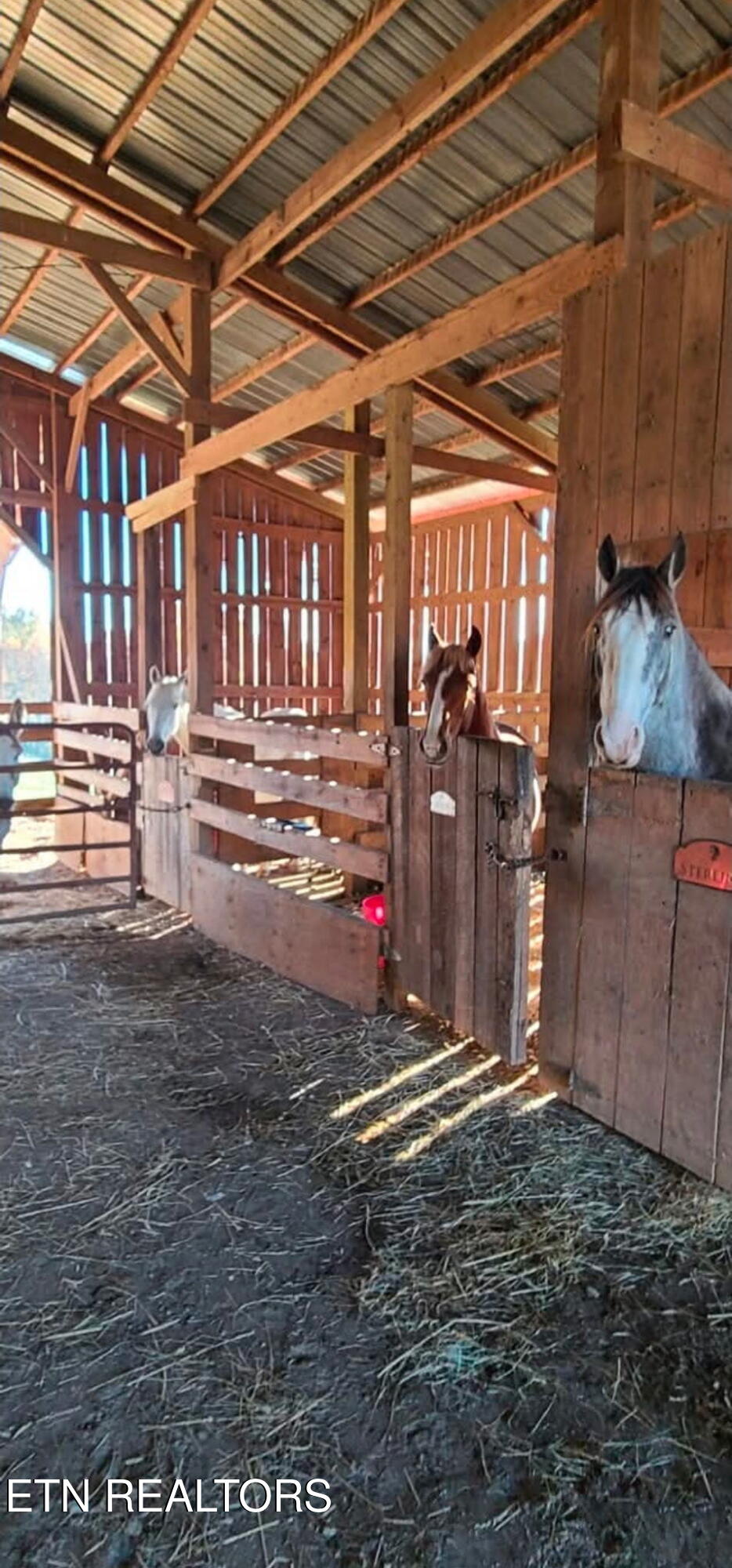 840 Jordan Road Decatur, TN 37322 - Photo 37 of 37 2073618535845132221