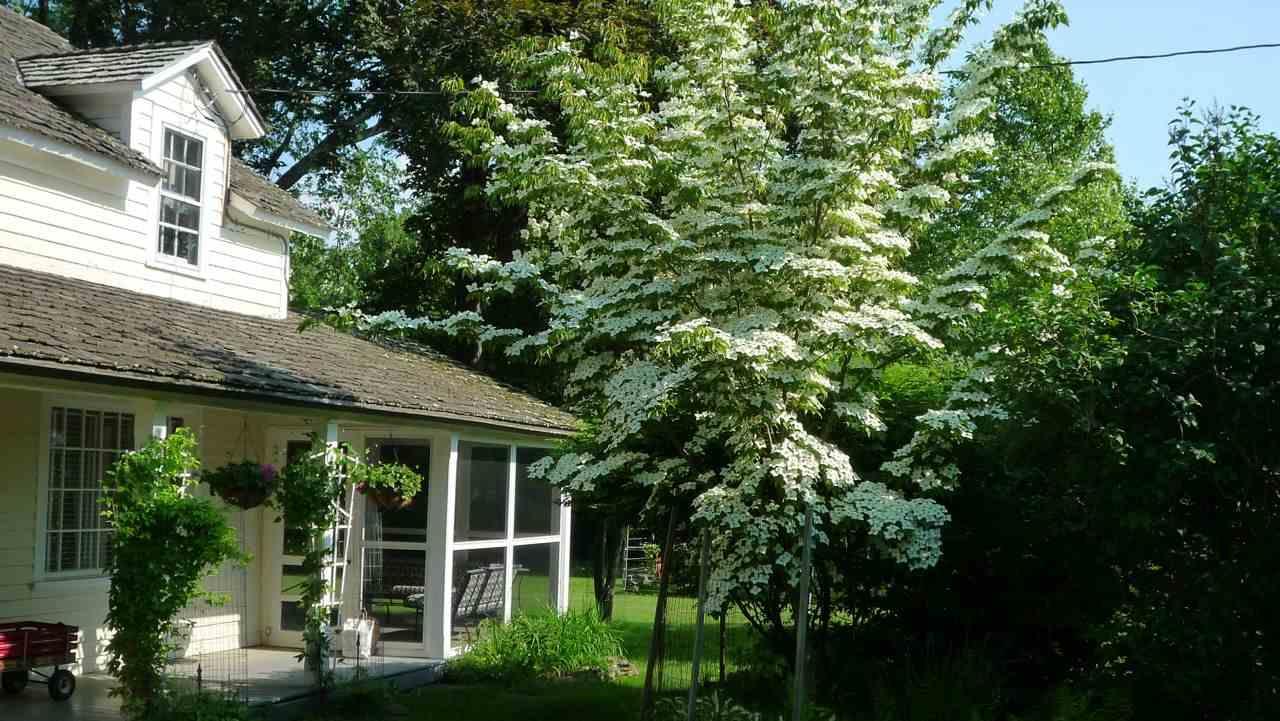 21 Corkscrew Road Barryville, NY 12719 - Photo 1 of 1 Gallery Image 1