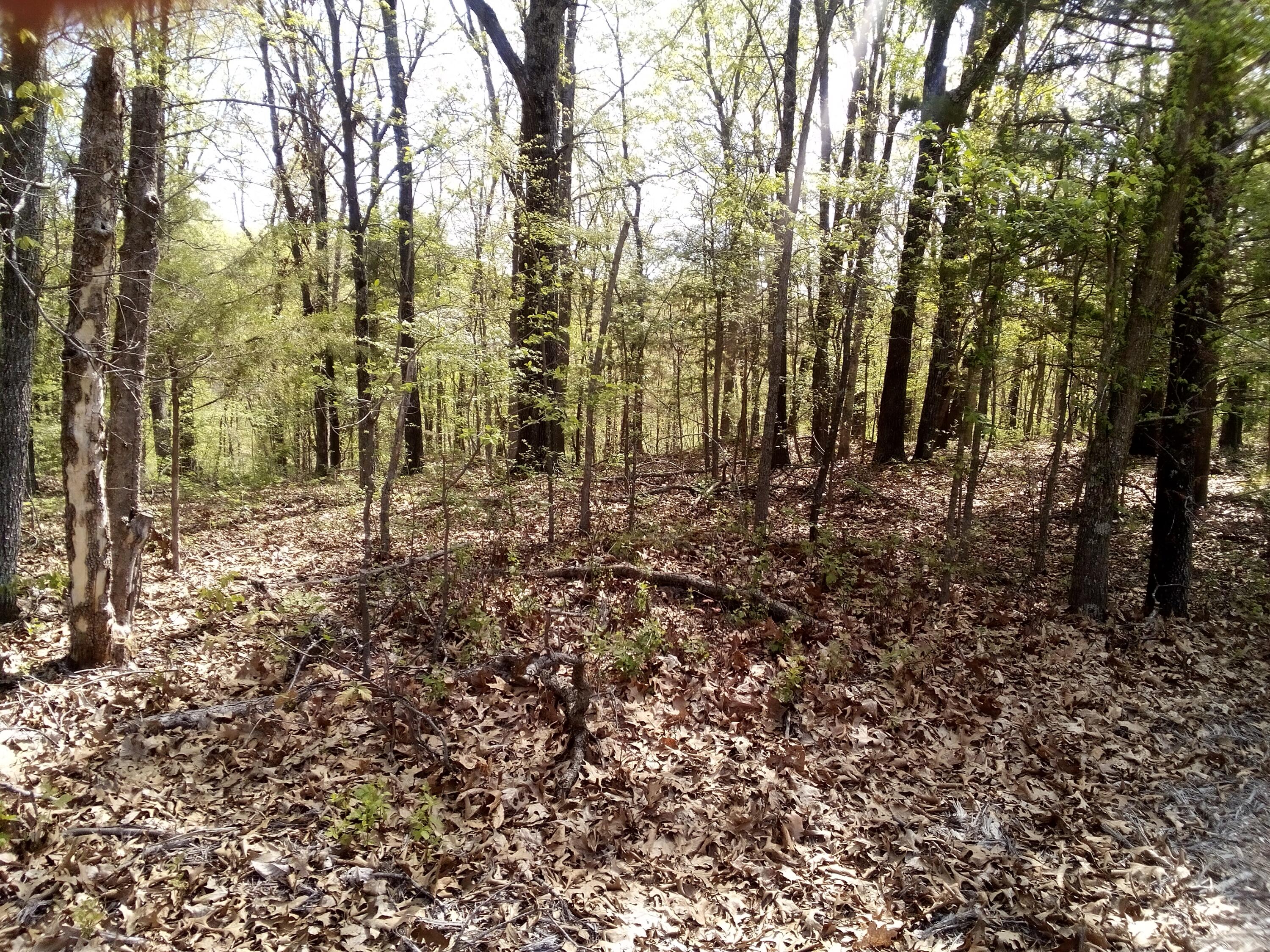 0 Serenity Ridge Road Ozark, MO 65721 - Photo 1 of 1 IMG_20240415_105845