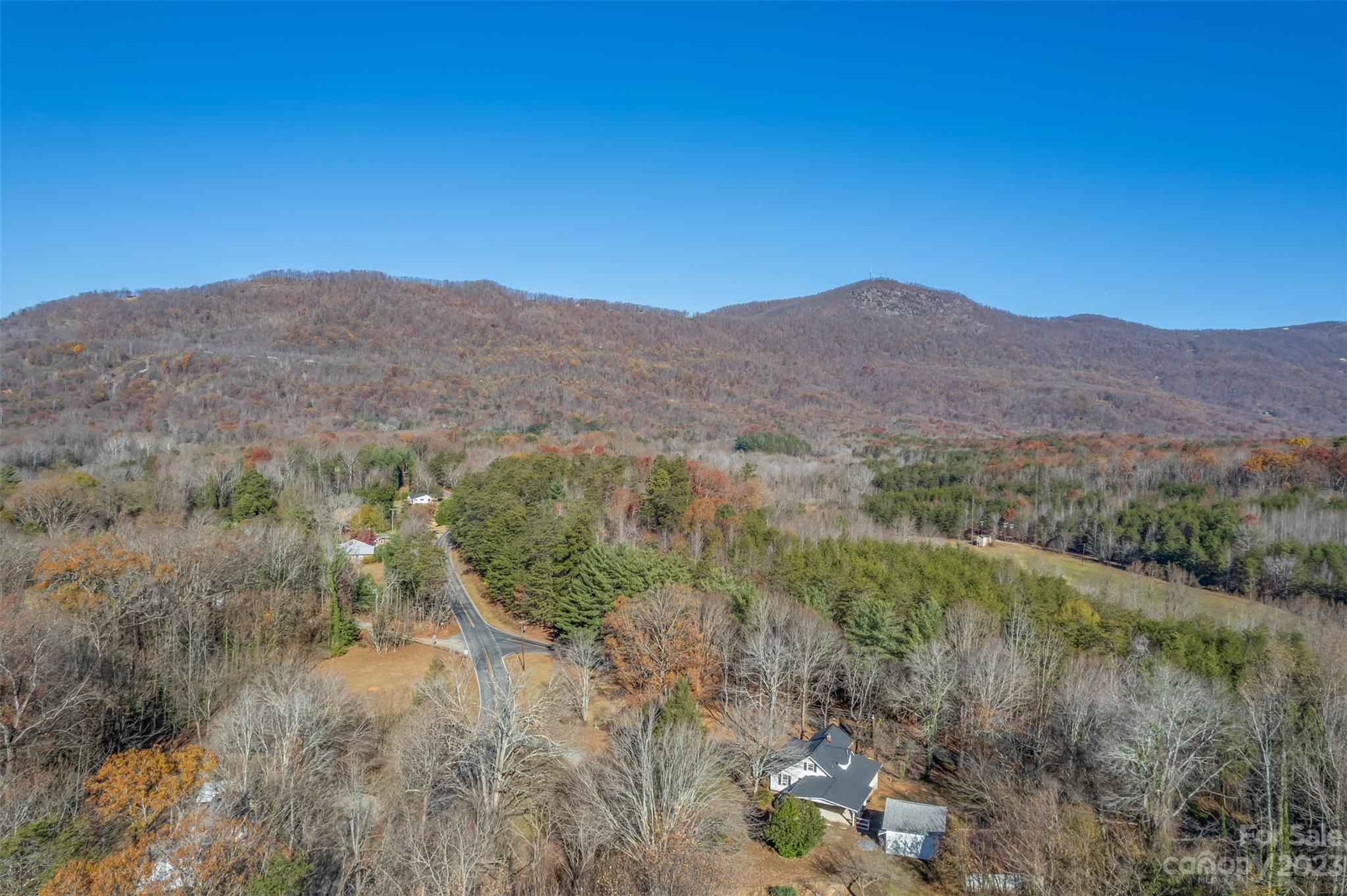 548 Howard Gap Road Tryon, NC 28782 - Photo 48 of 48 a view of a forest with mountains in the background