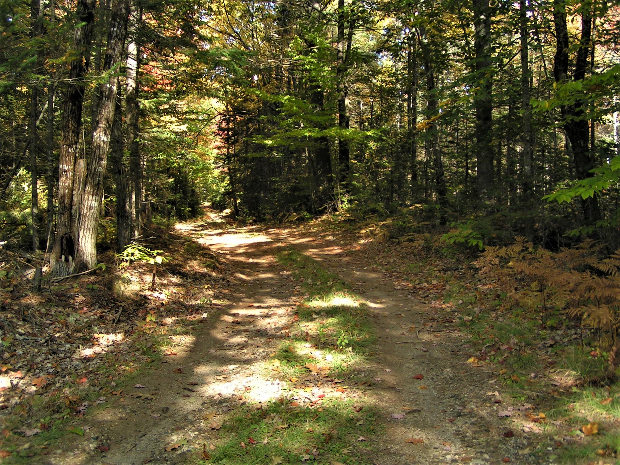 0 Buckfield Road South Paris, ME 04281 - Photo 11 of 11 PICT0041