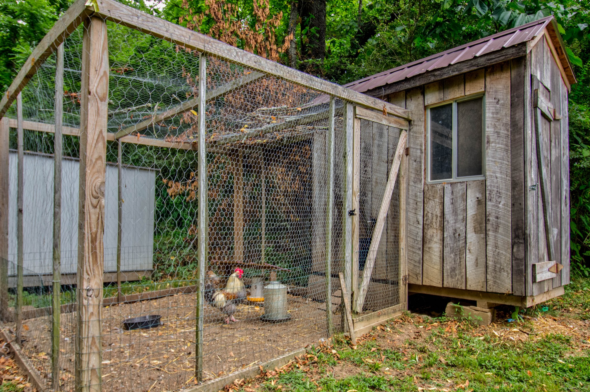 172 Hargis Road Bumpus Mills, TN 37028 - Photo 33 of 49 Gallery Image 33