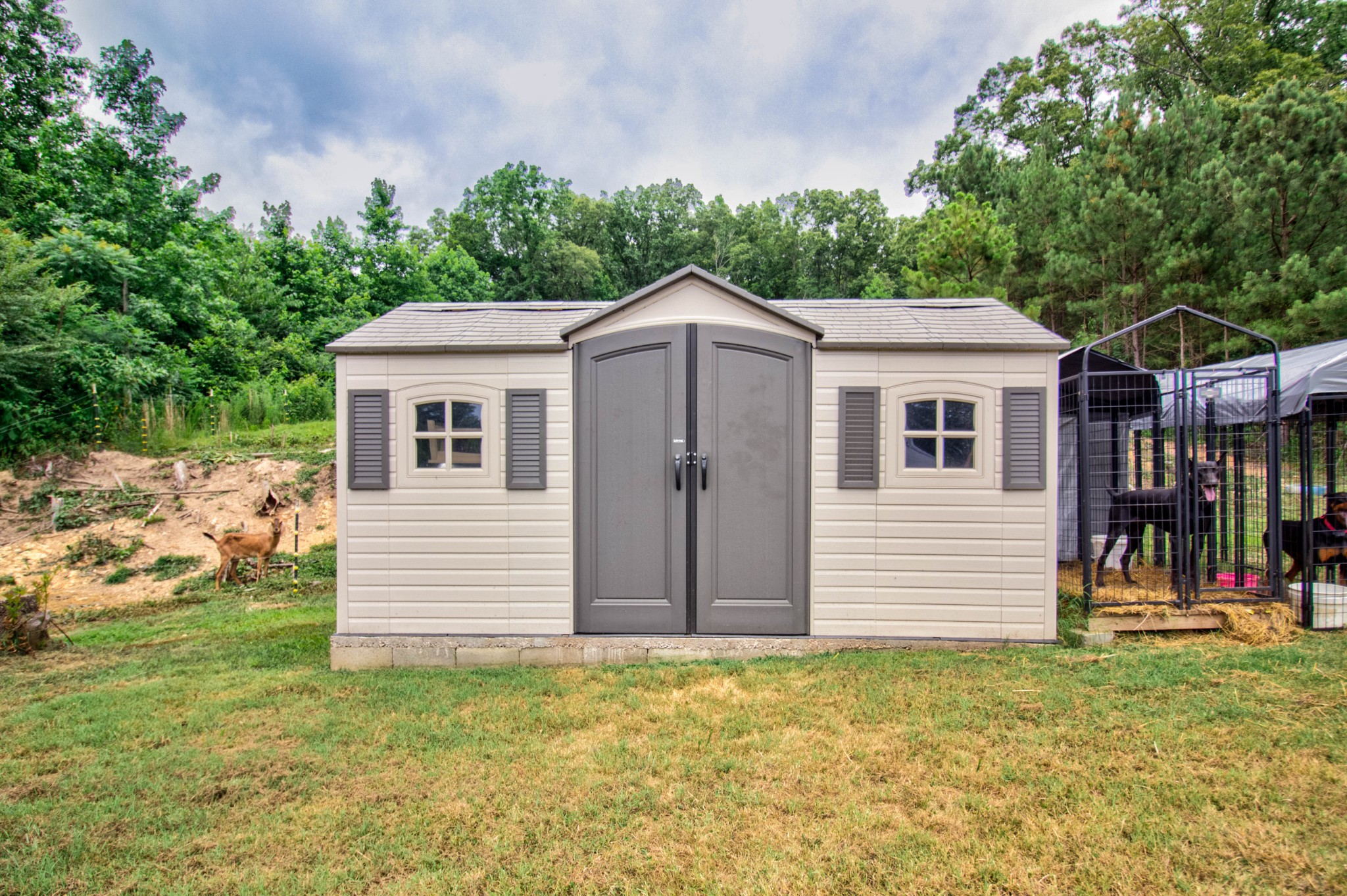 172 Hargis Road Bumpus Mills, TN 37028 - Photo 41 of 49 Gallery Image 41